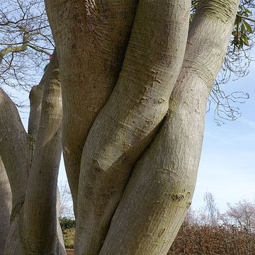 Jardin fleuriste municipal