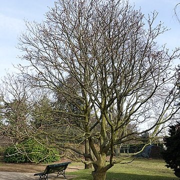 Jardin fleuriste municipal