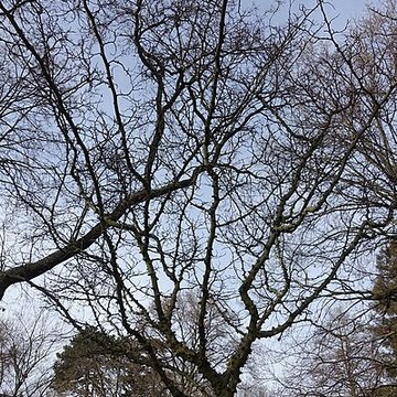 Jardin fleuriste municipal