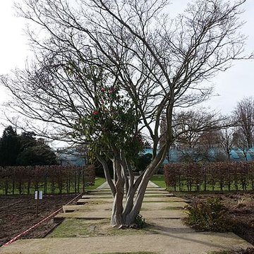 Jardin fleuriste municipal