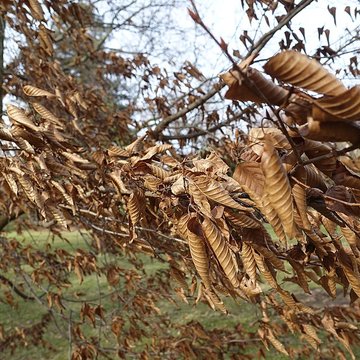 Jardin fleuriste municipal