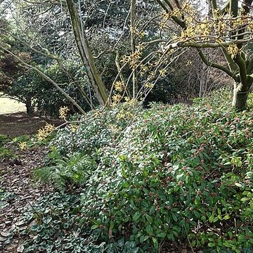 Jardin fleuriste municipal