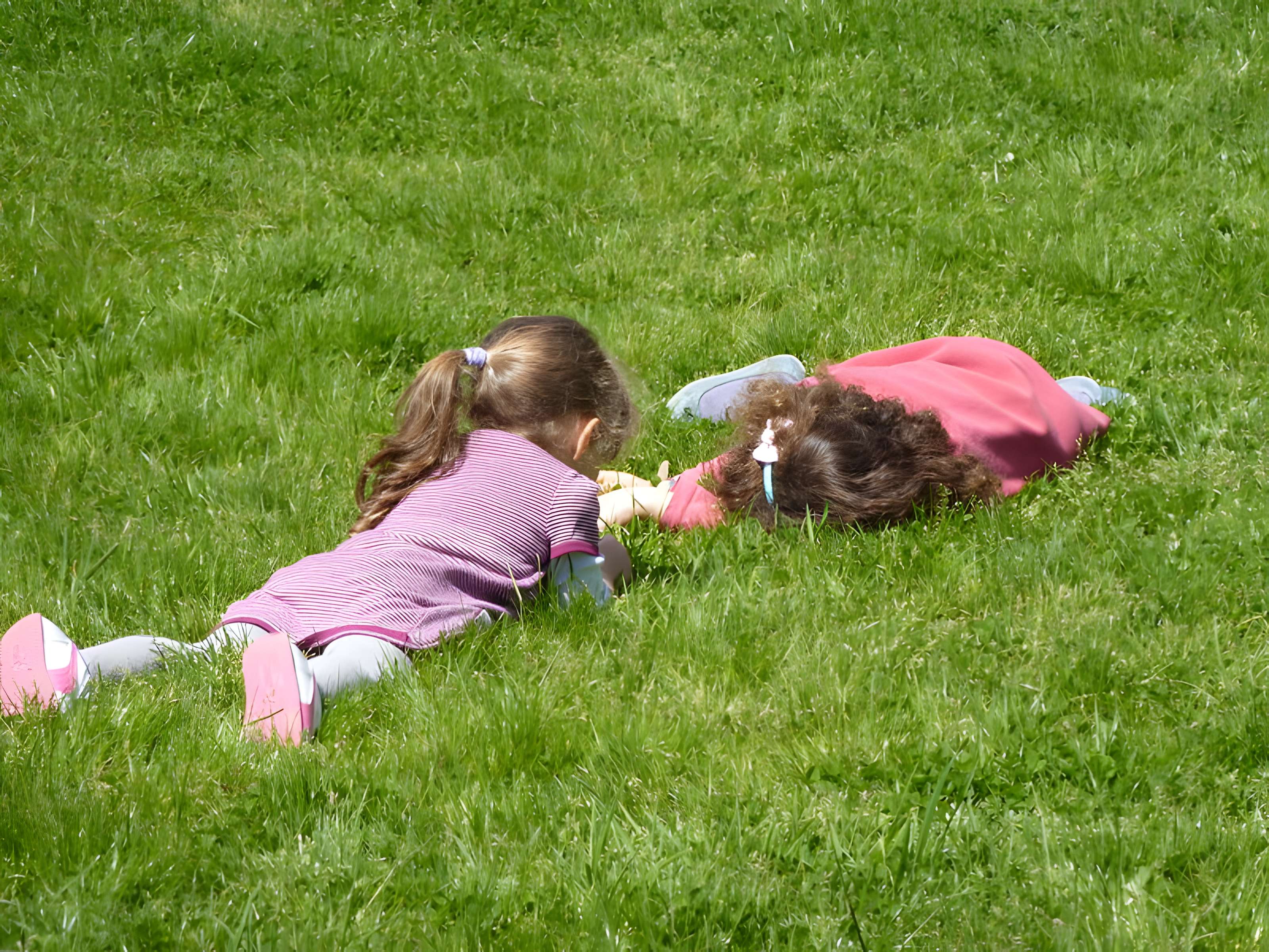 Jardin fleuriste municipal