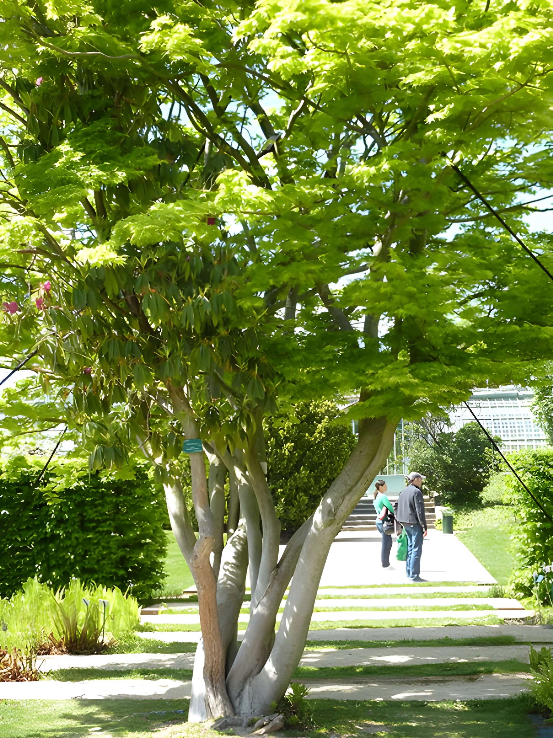 Jardin fleuriste municipal