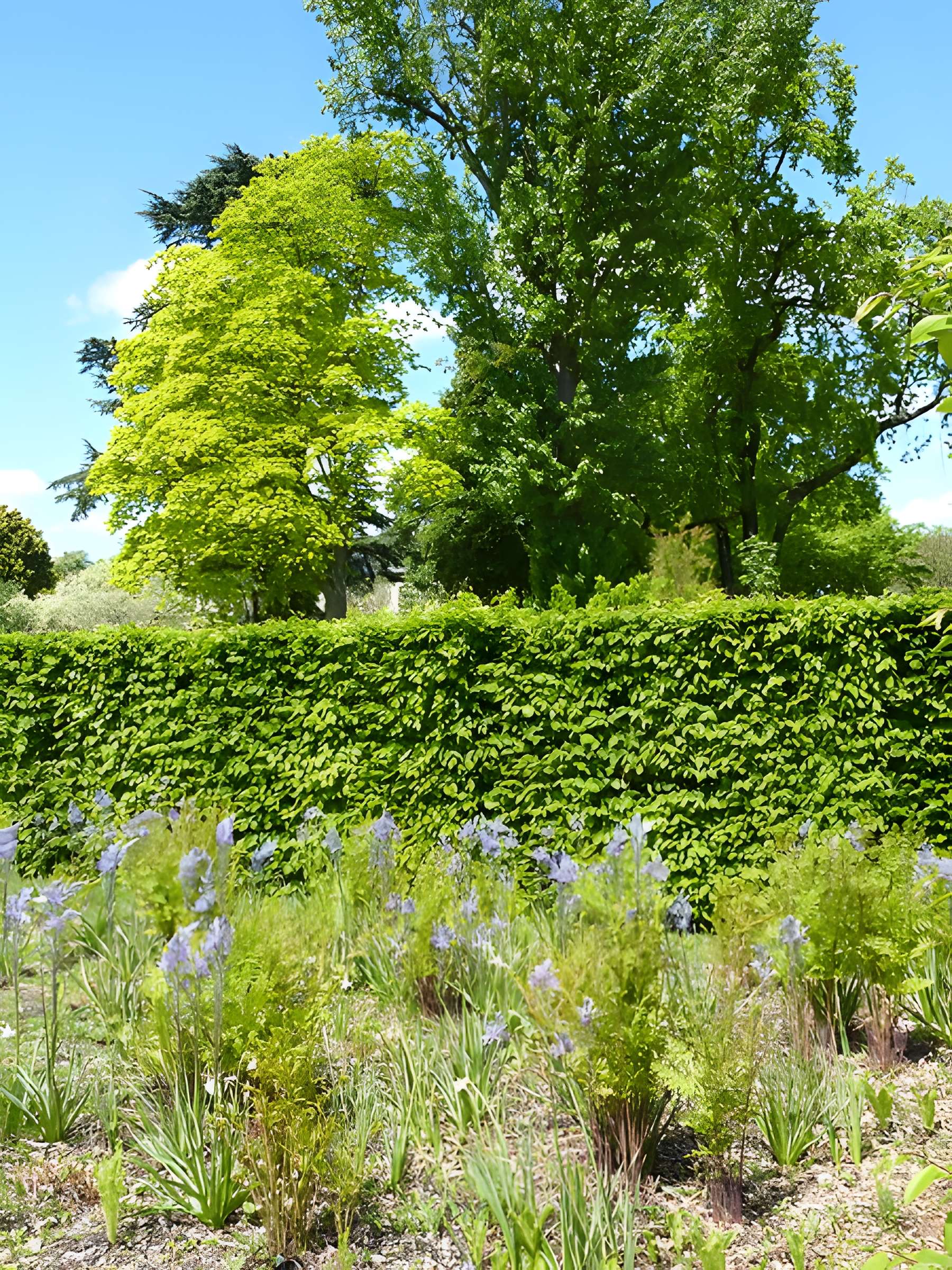 Jardin fleuriste municipal