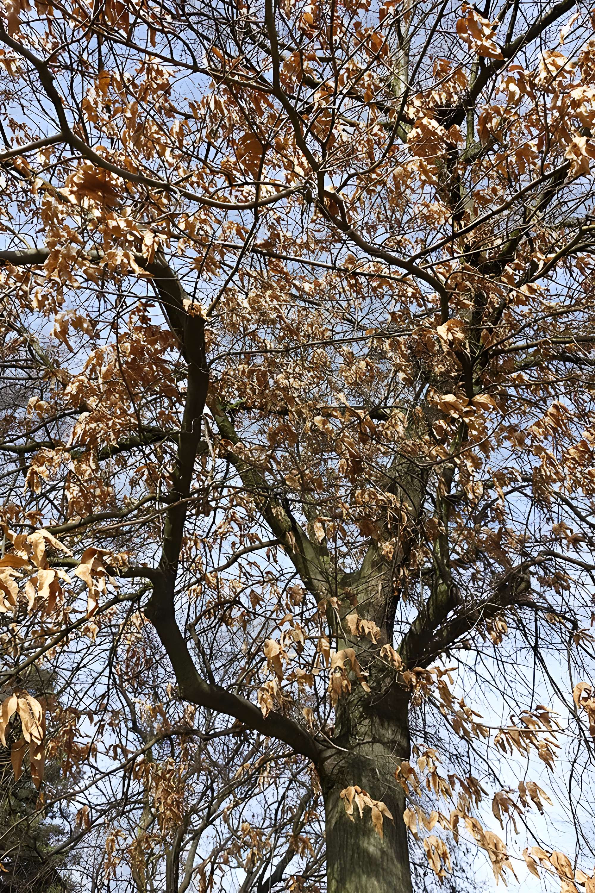 Jardin fleuriste municipal