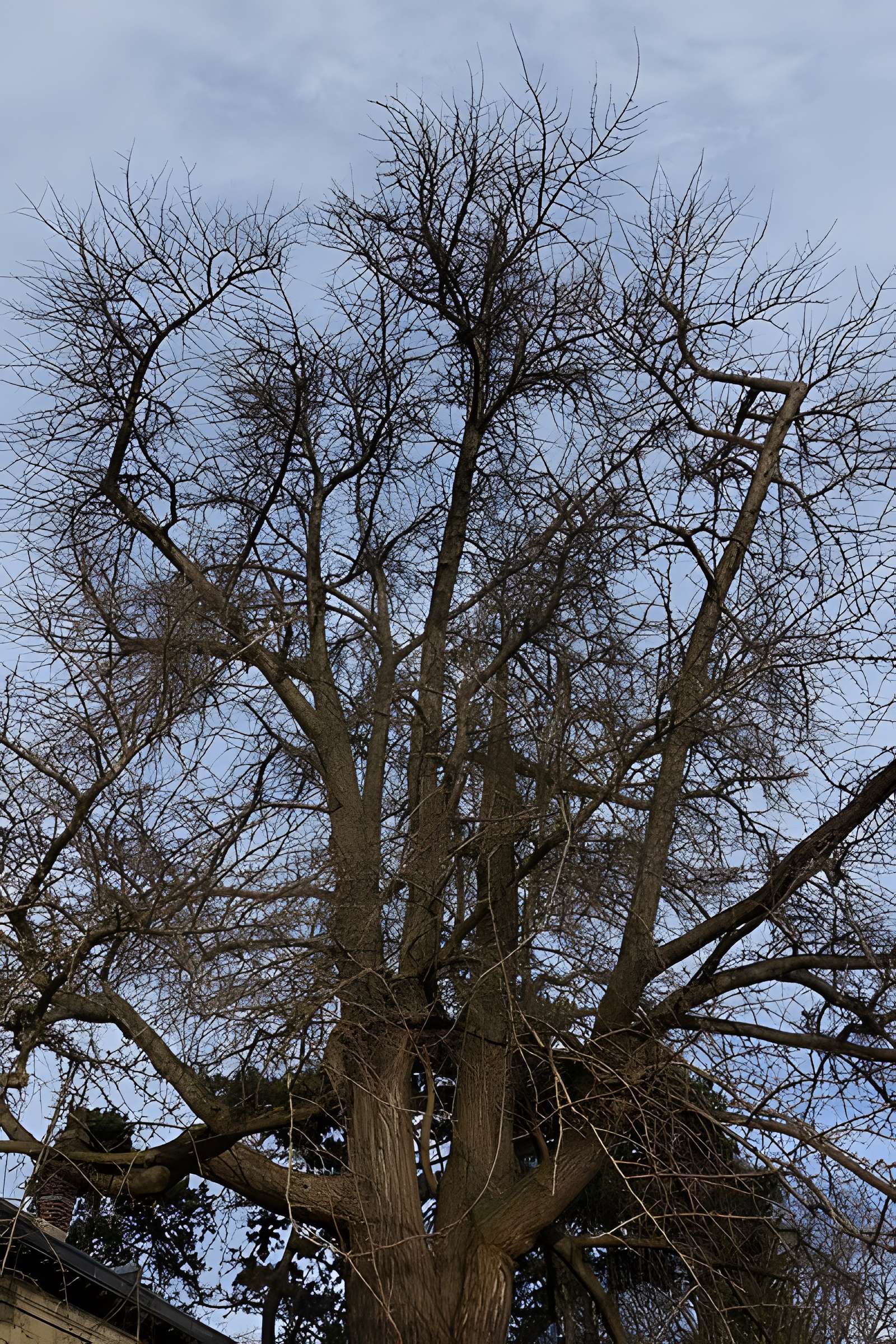 Jardin fleuriste municipal