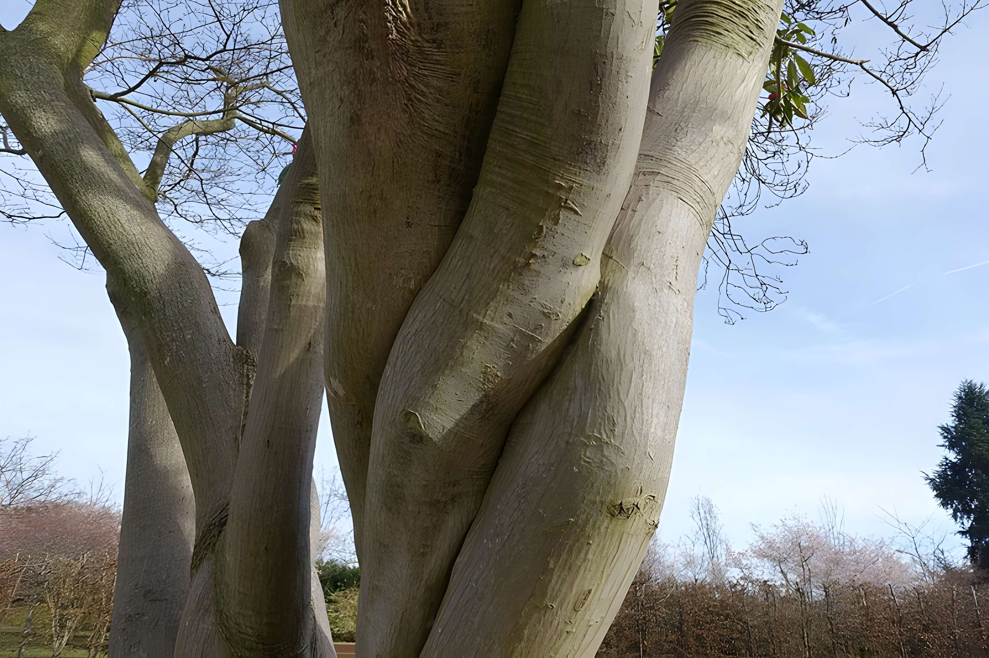 Jardin fleuriste municipal
