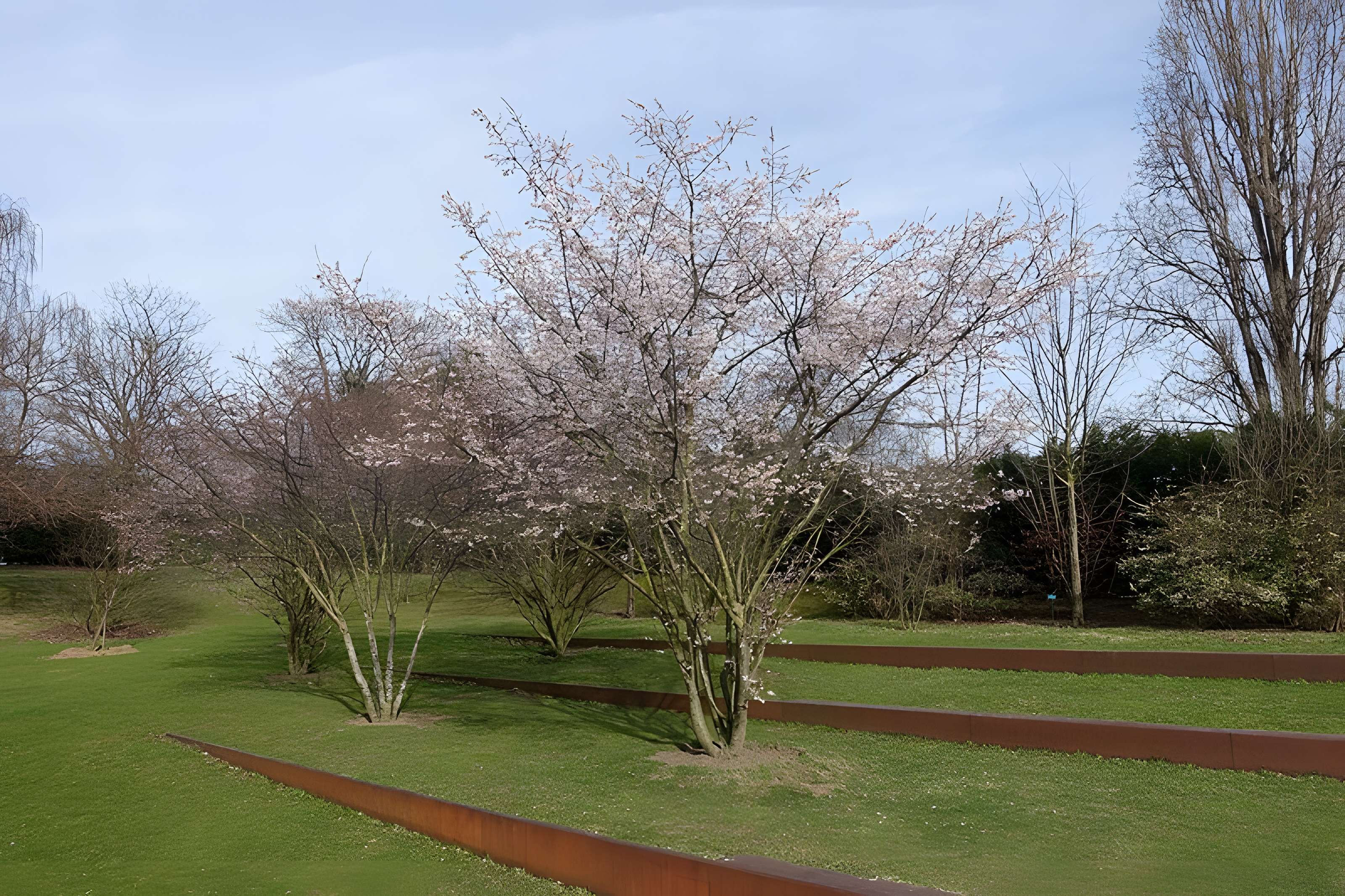 Jardin fleuriste municipal