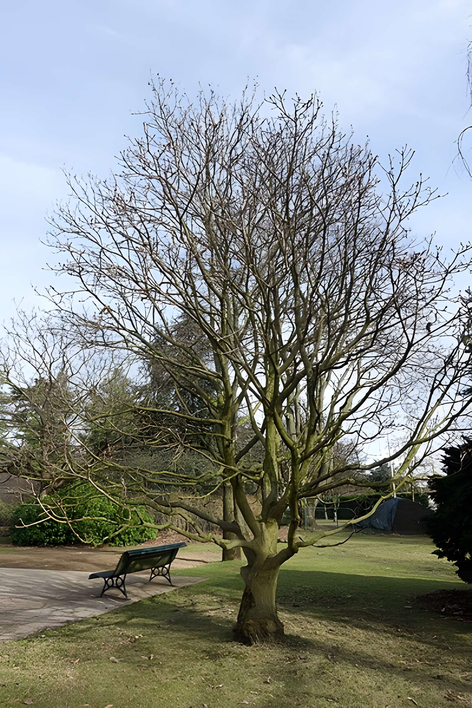 Jardin fleuriste municipal