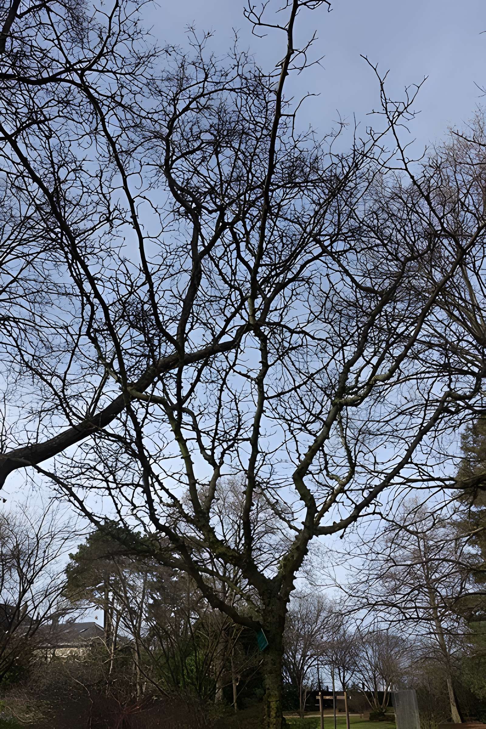 Jardin fleuriste municipal