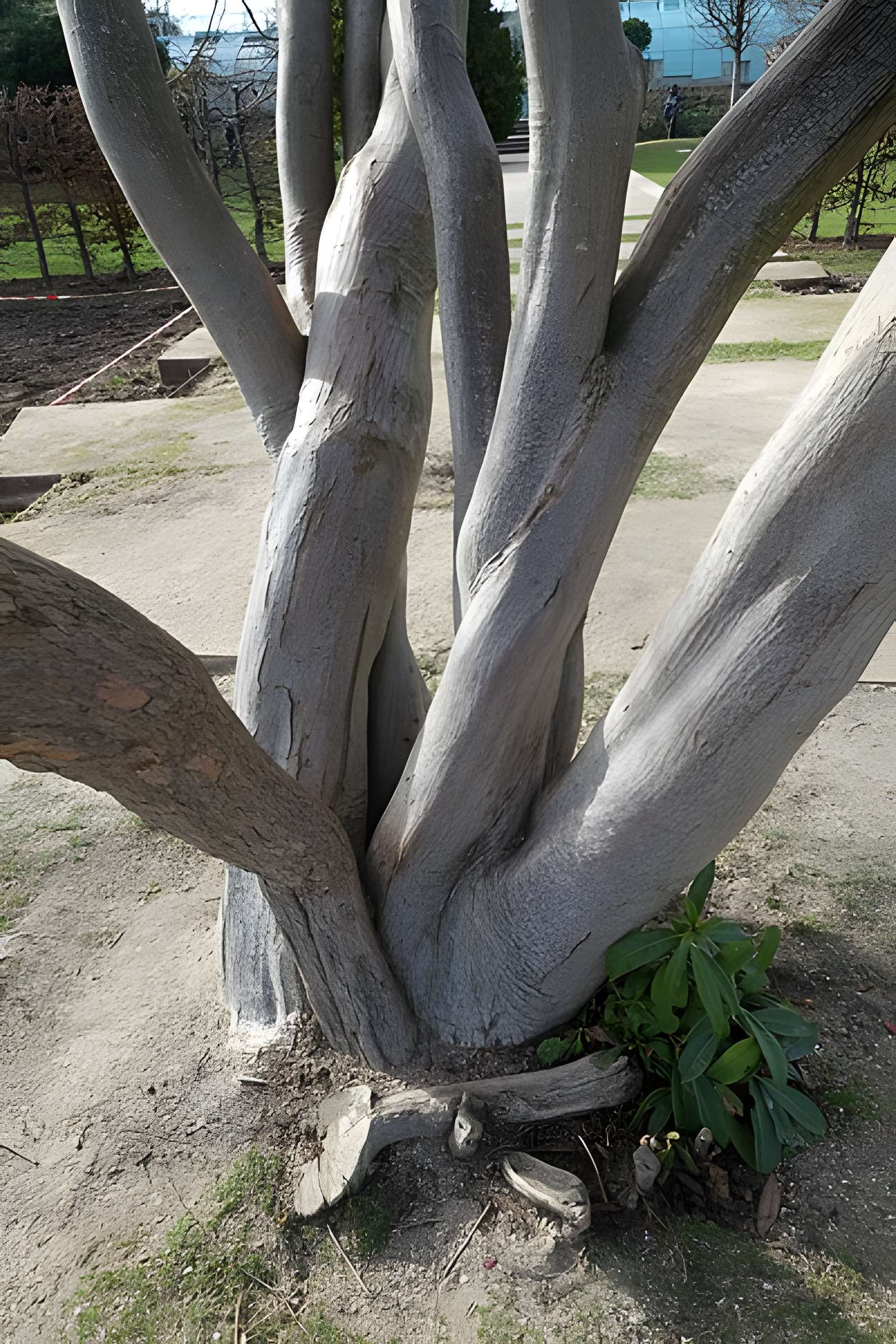 Jardin fleuriste municipal