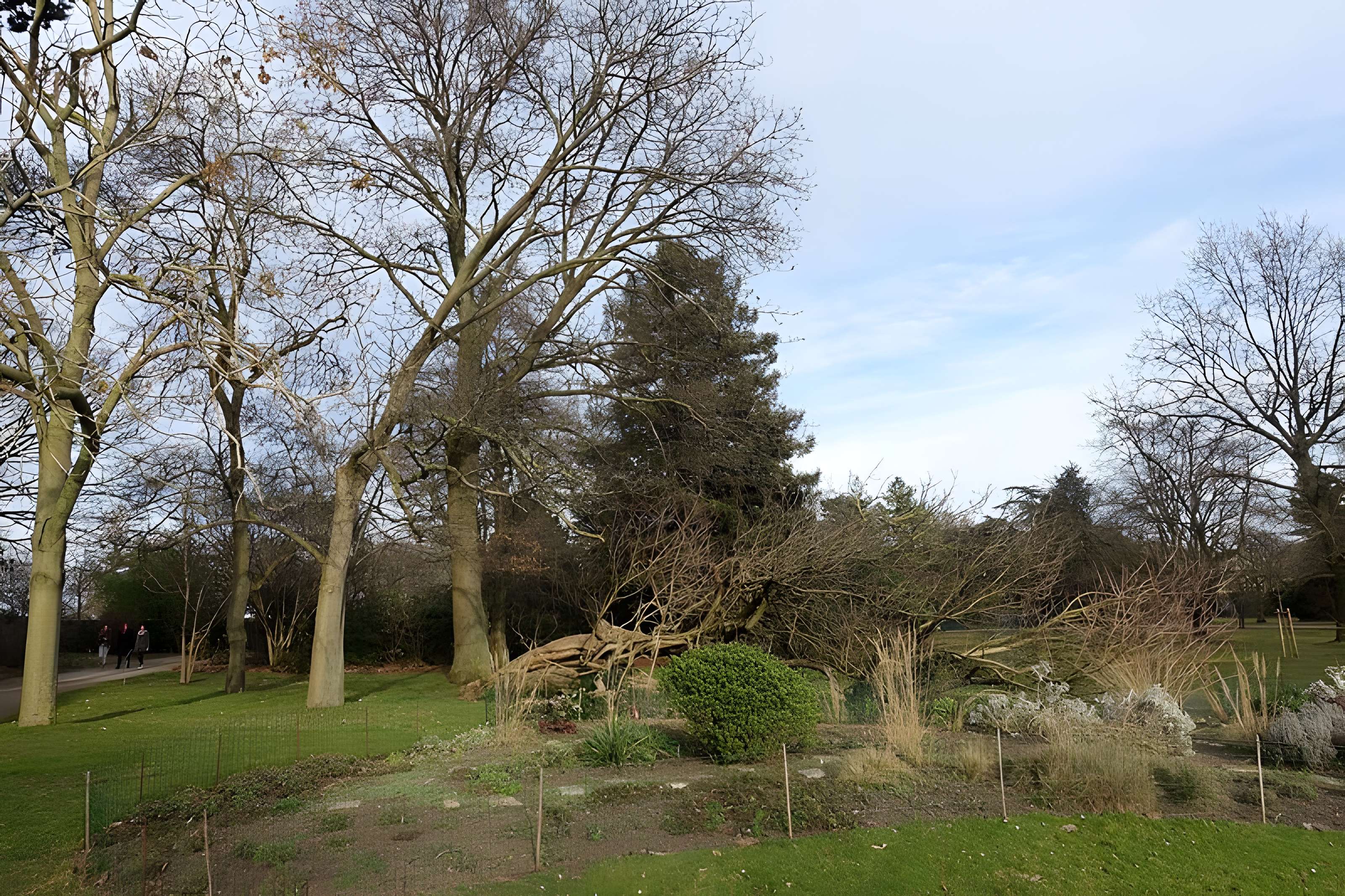 Jardin fleuriste municipal