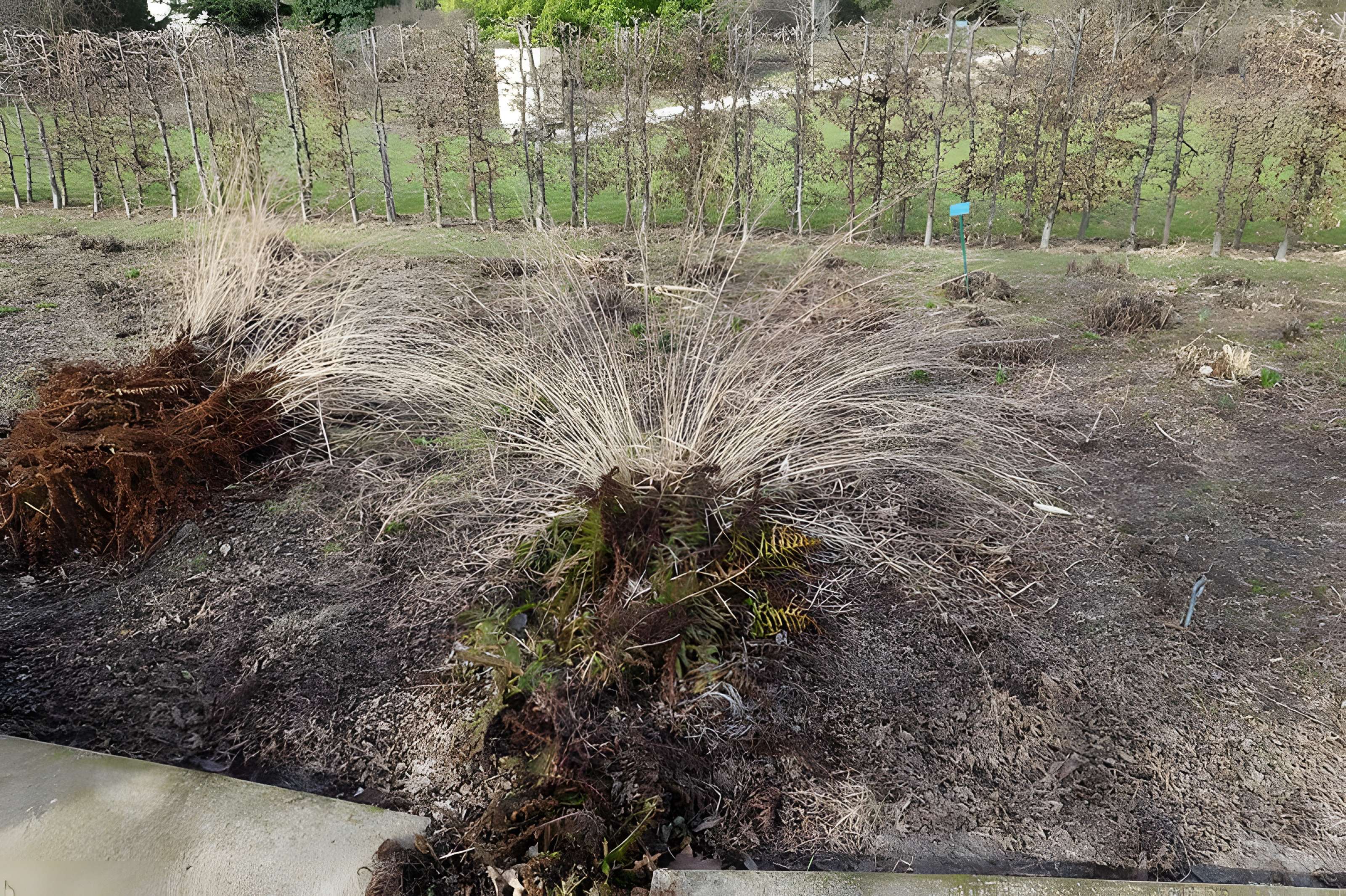 Jardin fleuriste municipal