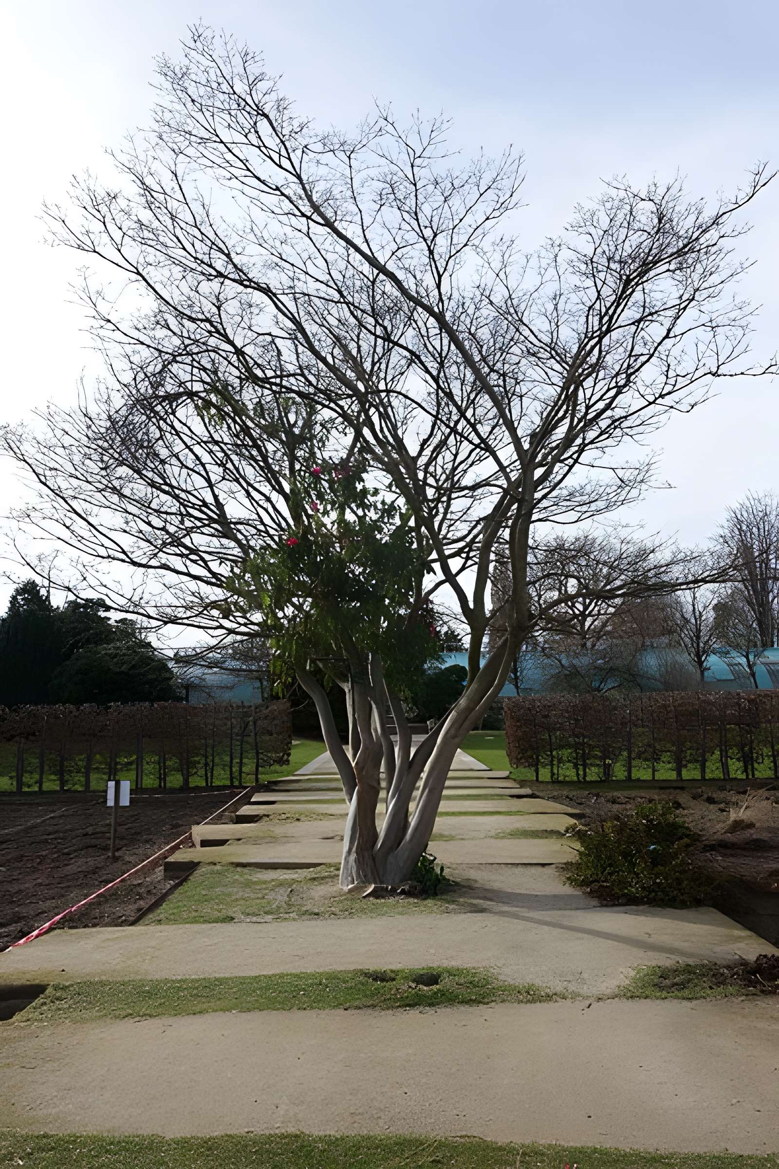 Jardin fleuriste municipal
