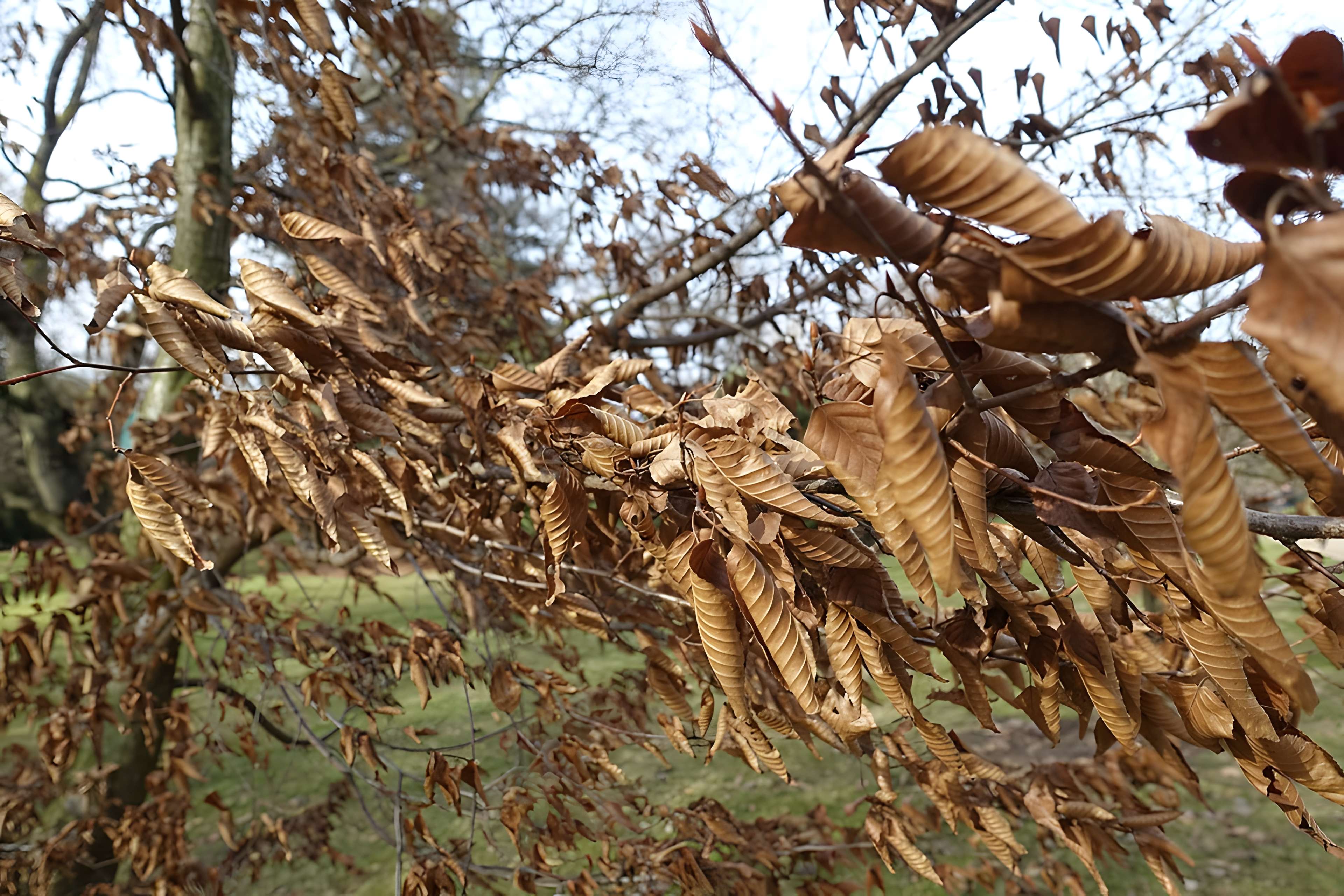 Jardin fleuriste municipal