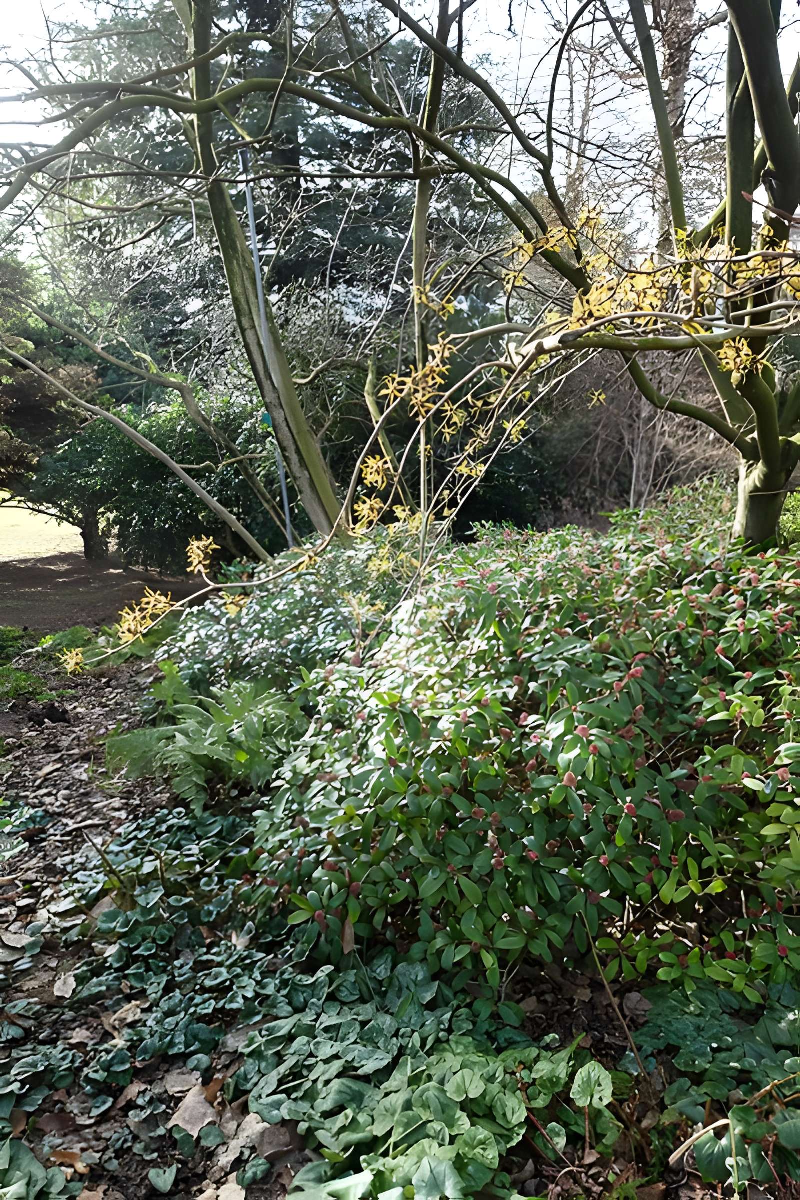 Jardin fleuriste municipal