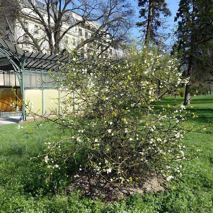 Photo de Metropolitan, stazione di Boissière