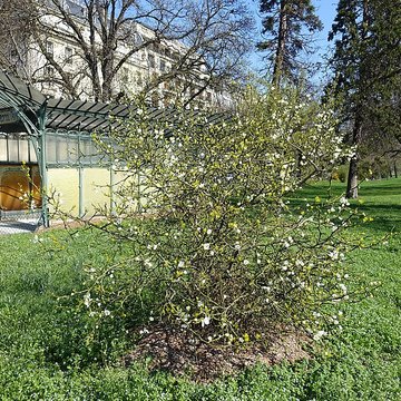 Métropolitain, station Boissière