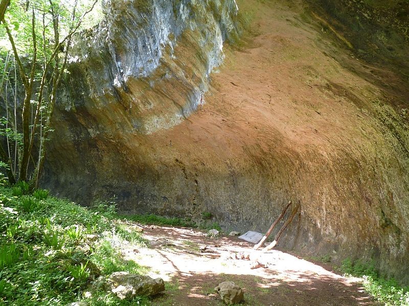 Photo de Les Vachons à Voulgézac