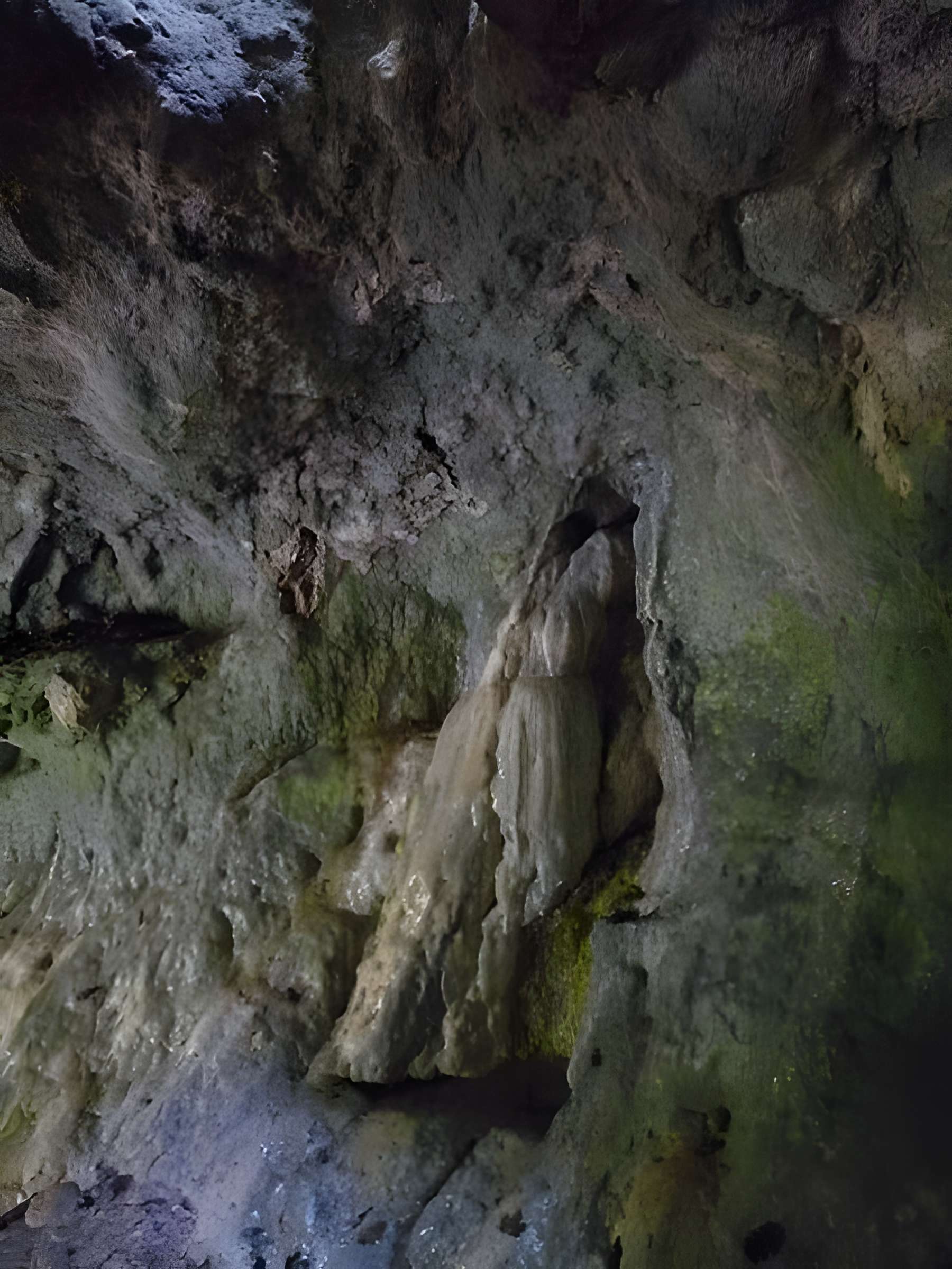 Gisements préhistoriques