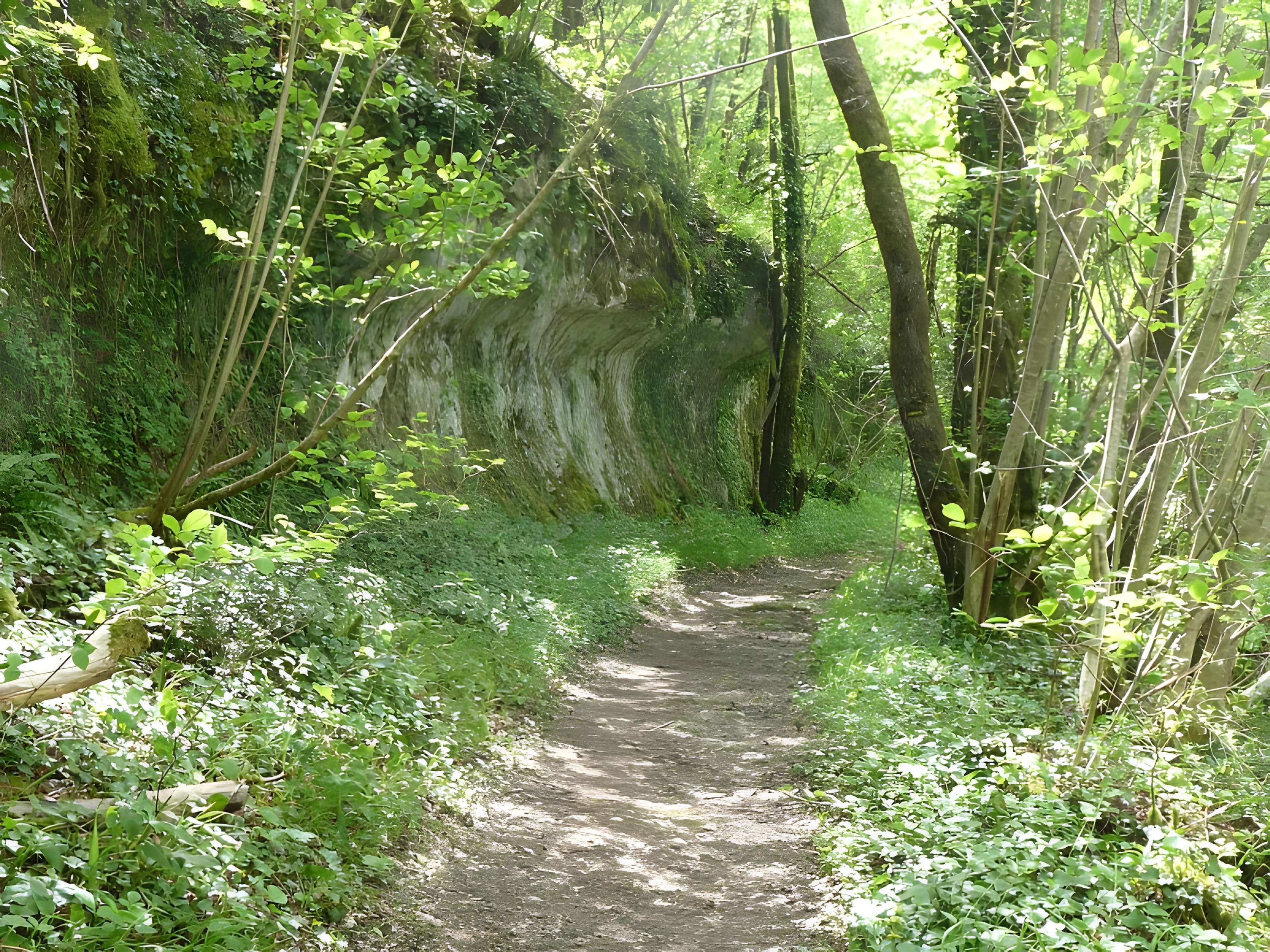 Gisements préhistoriques