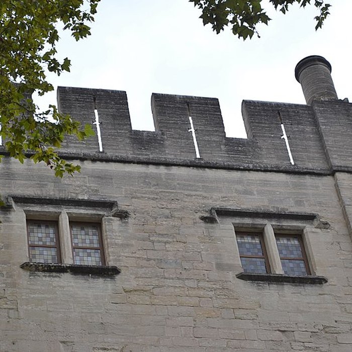 Photo de Livrées cardinalices dAvignon