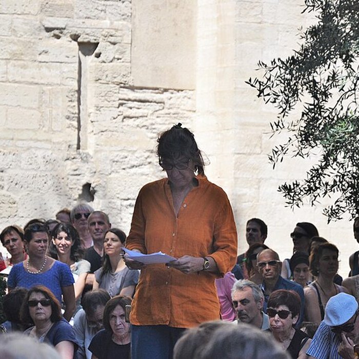 Photo de Livrées cardinalices dAvignon