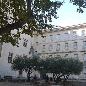 Livrées cardinalices dAvignon