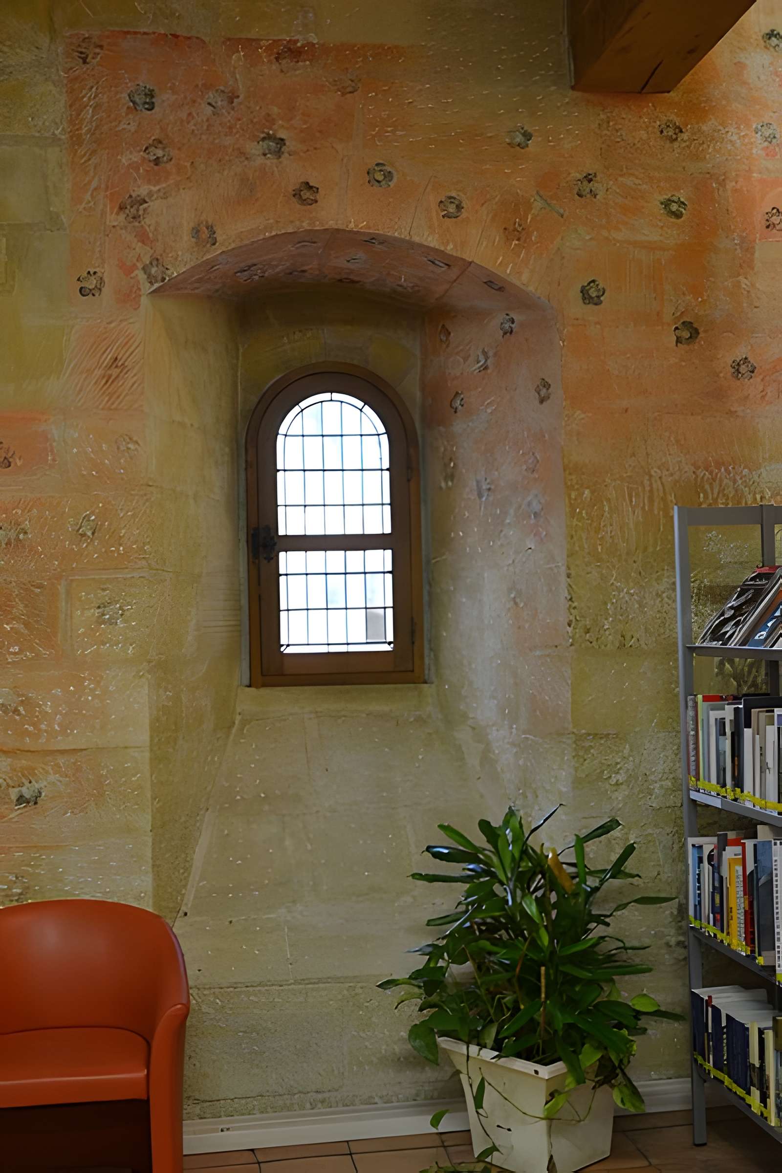 Livrées cardinalices d'Avignon