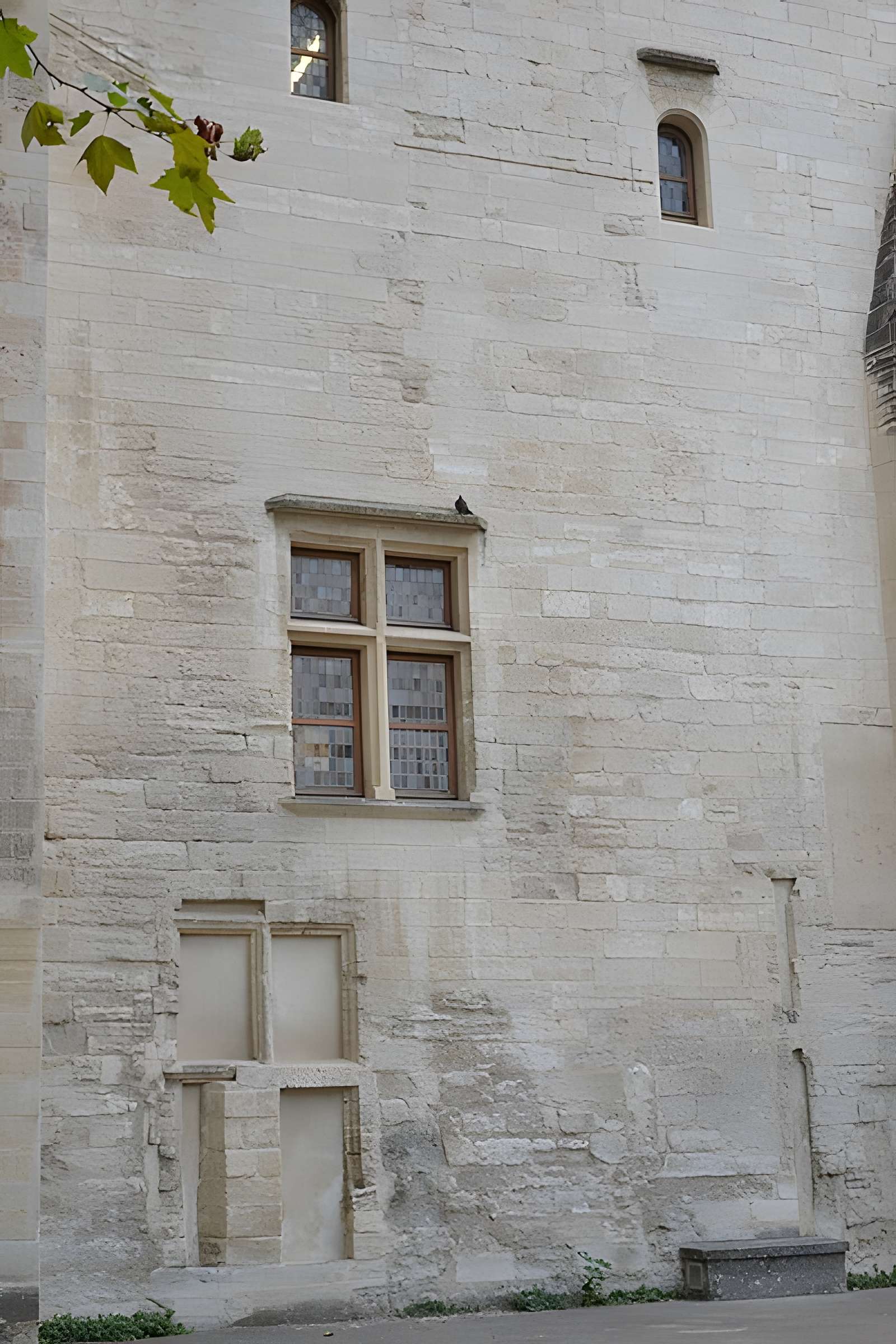 Livrées cardinalices d'Avignon