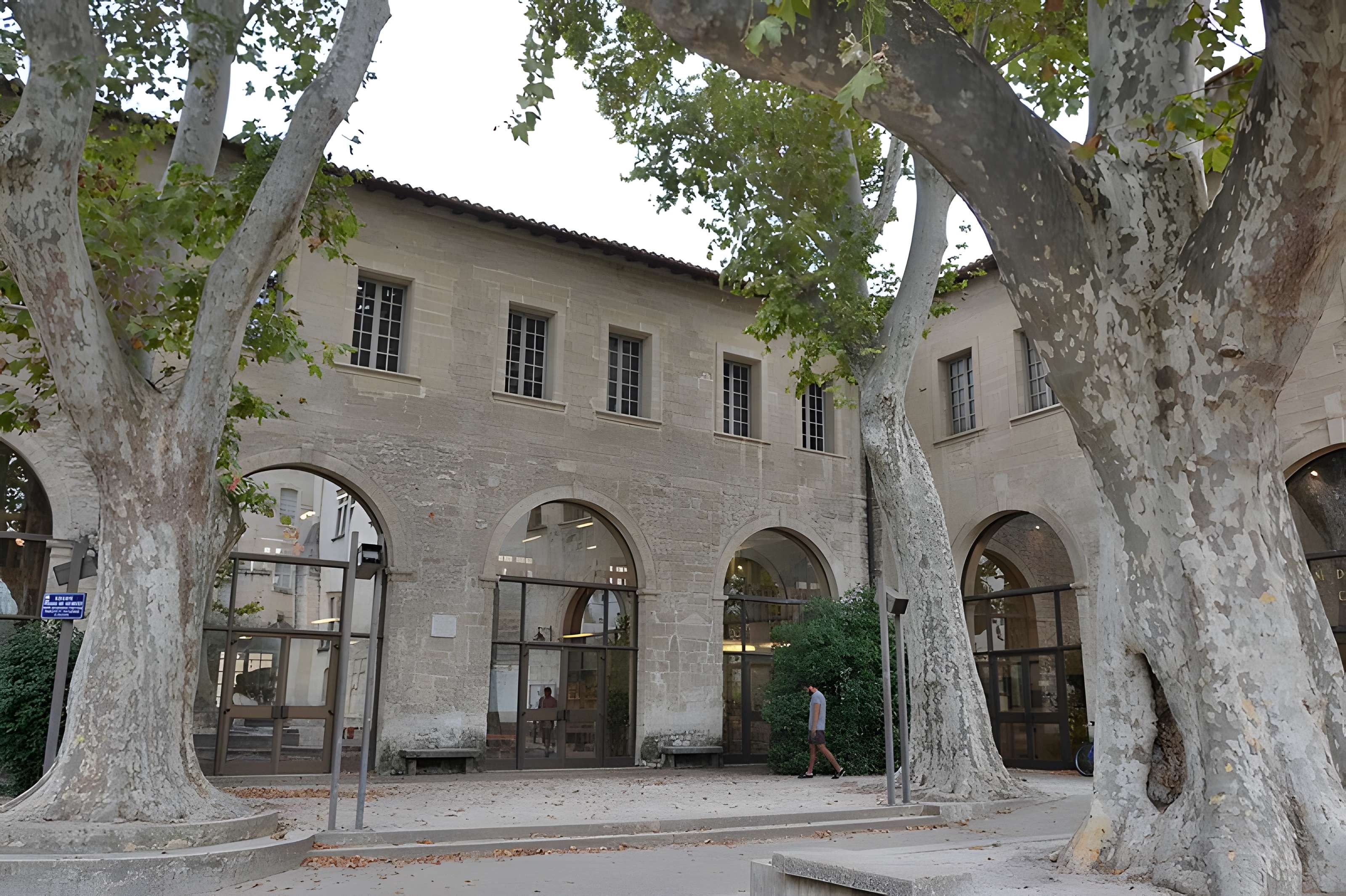 Livrées cardinalices d'Avignon