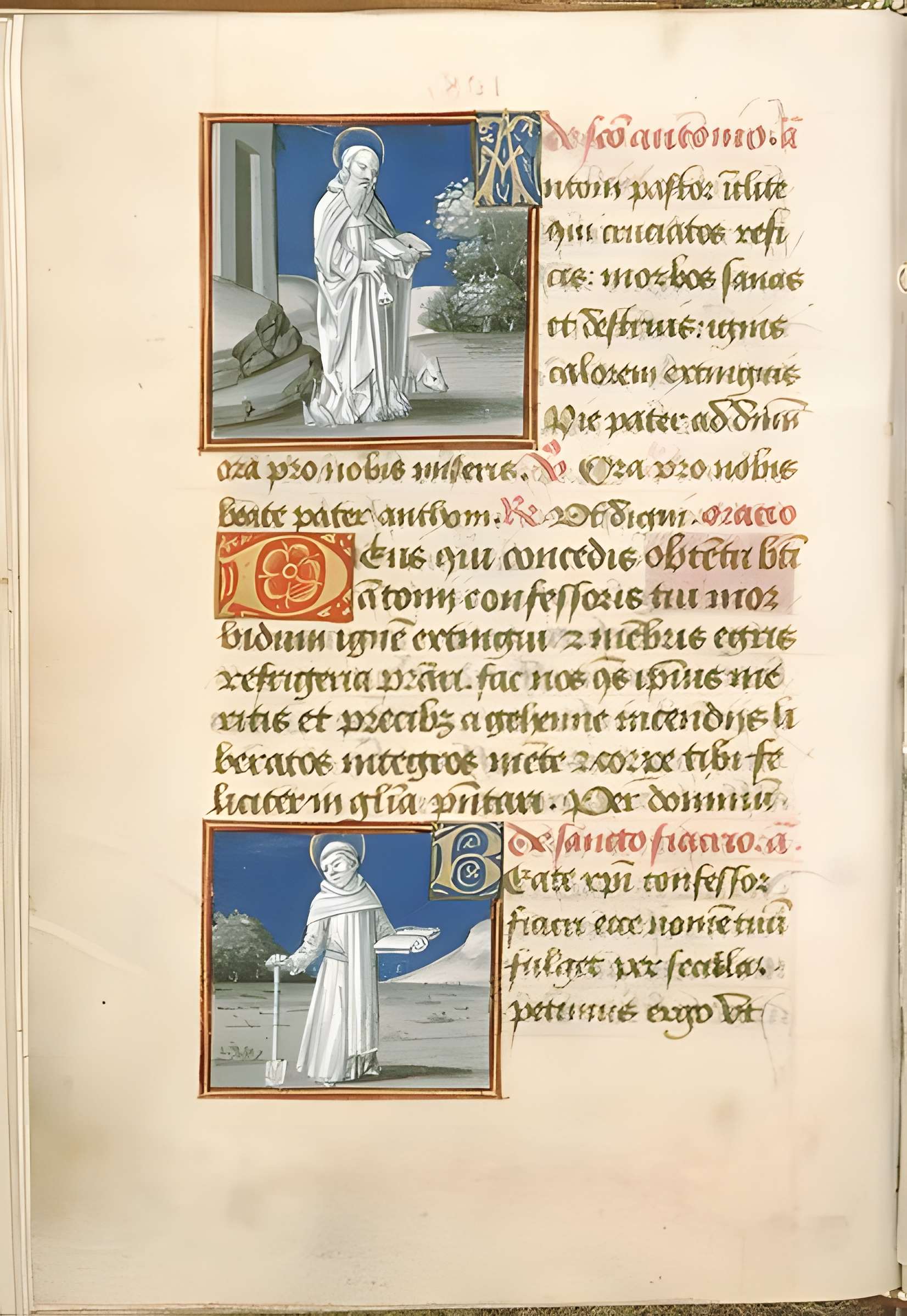 Livrées cardinalices d'Avignon