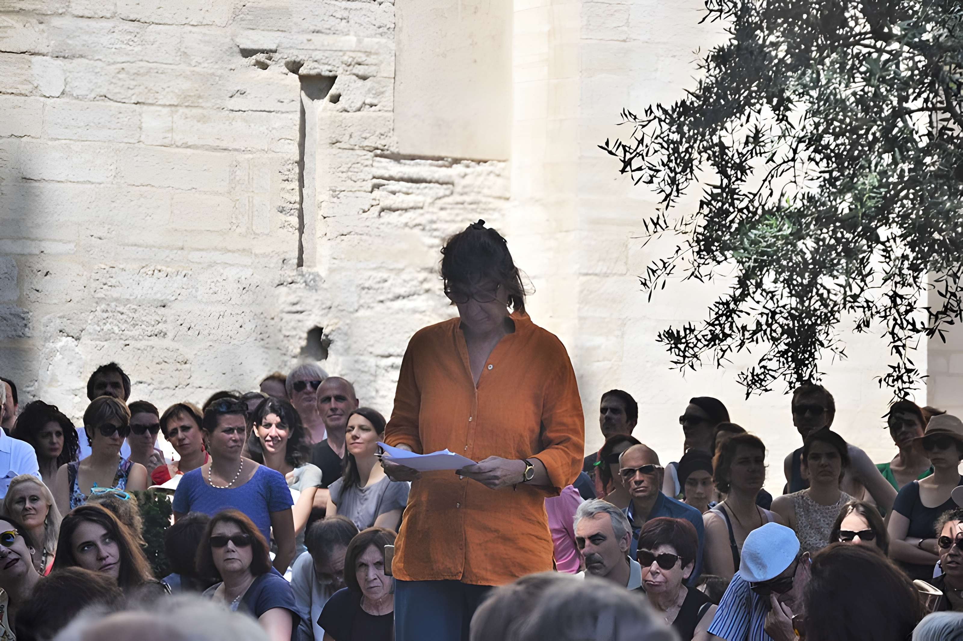 Livrées cardinalices d'Avignon