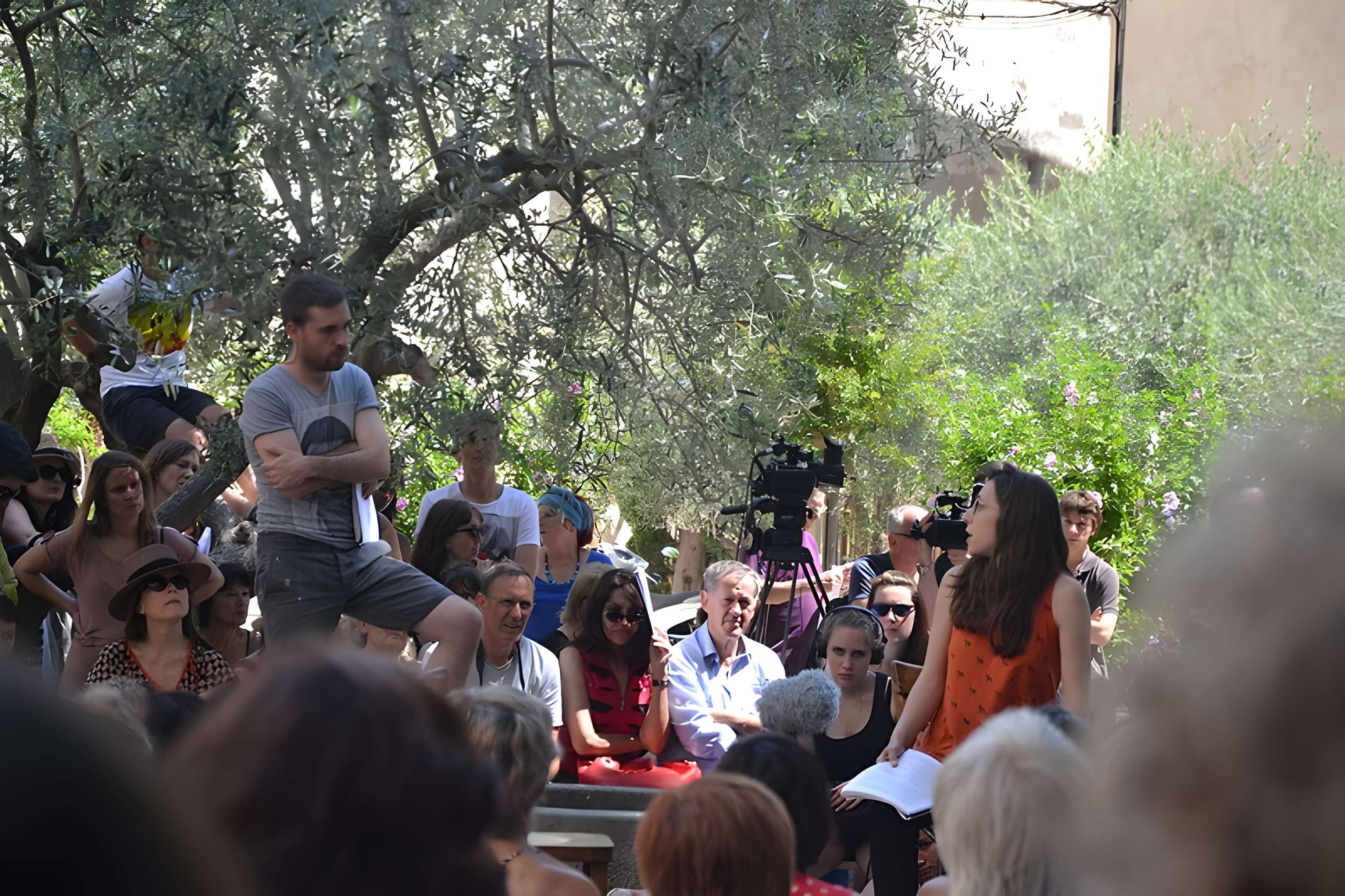 Livrées cardinalices d'Avignon