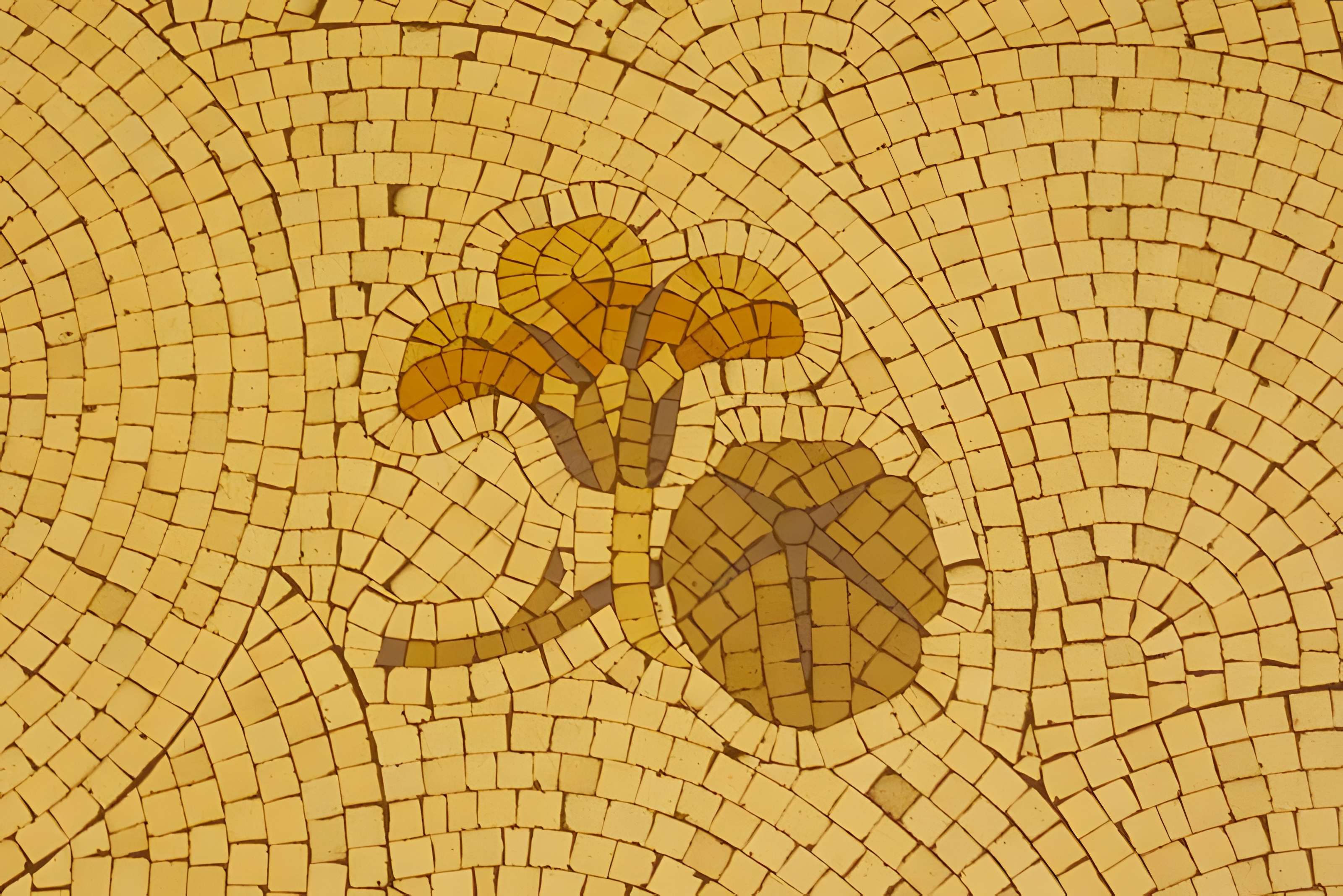 Immeuble (Siège de la Semeuse de Paris)