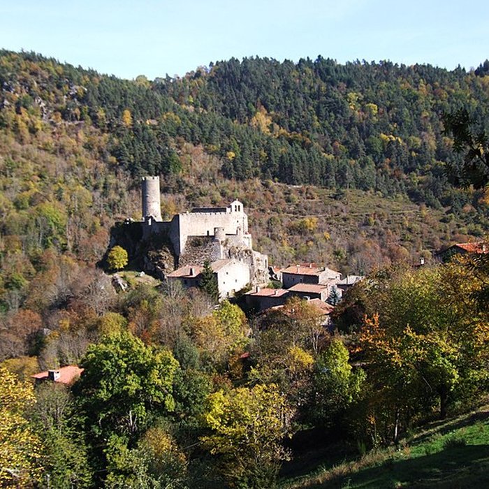 Photo de Château de Chalencon