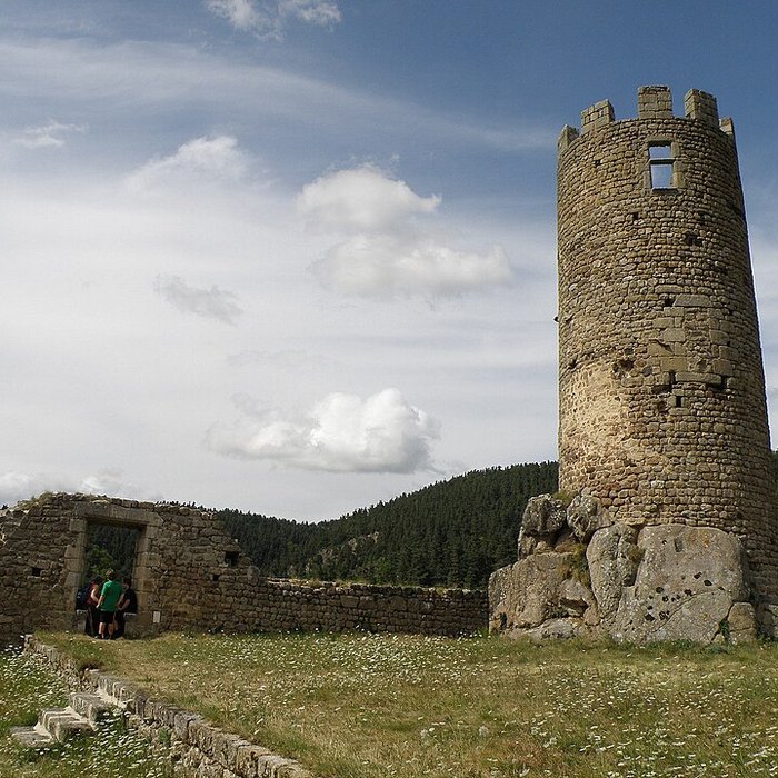 Photo de Château de Chalencon