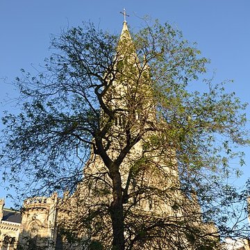 église Notre-Dame-de-la-Croix