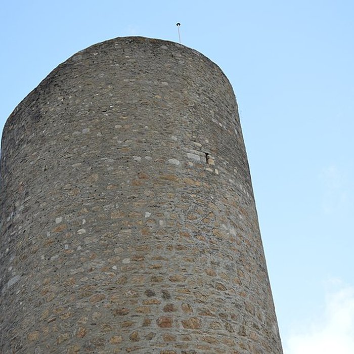 Photo de Château de Châlus-Chabrol