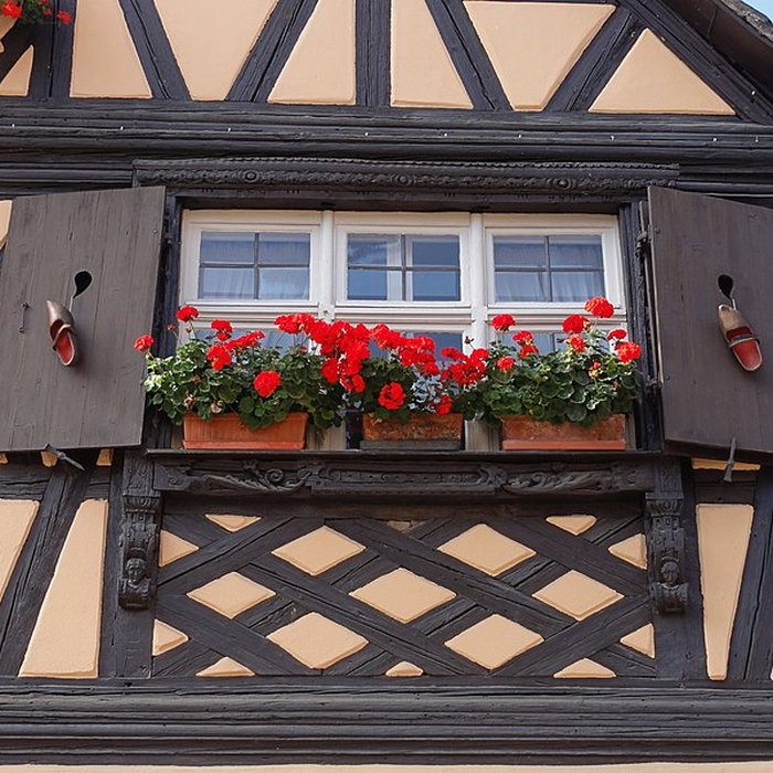 Photo de Maison au 15 Rue du Rempart à Boersch