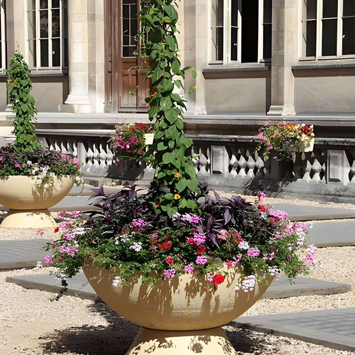 Photo de L’Hôtel-Dieu