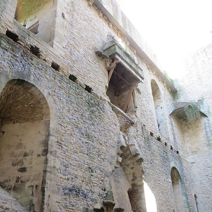 Photo de Château de Chambois