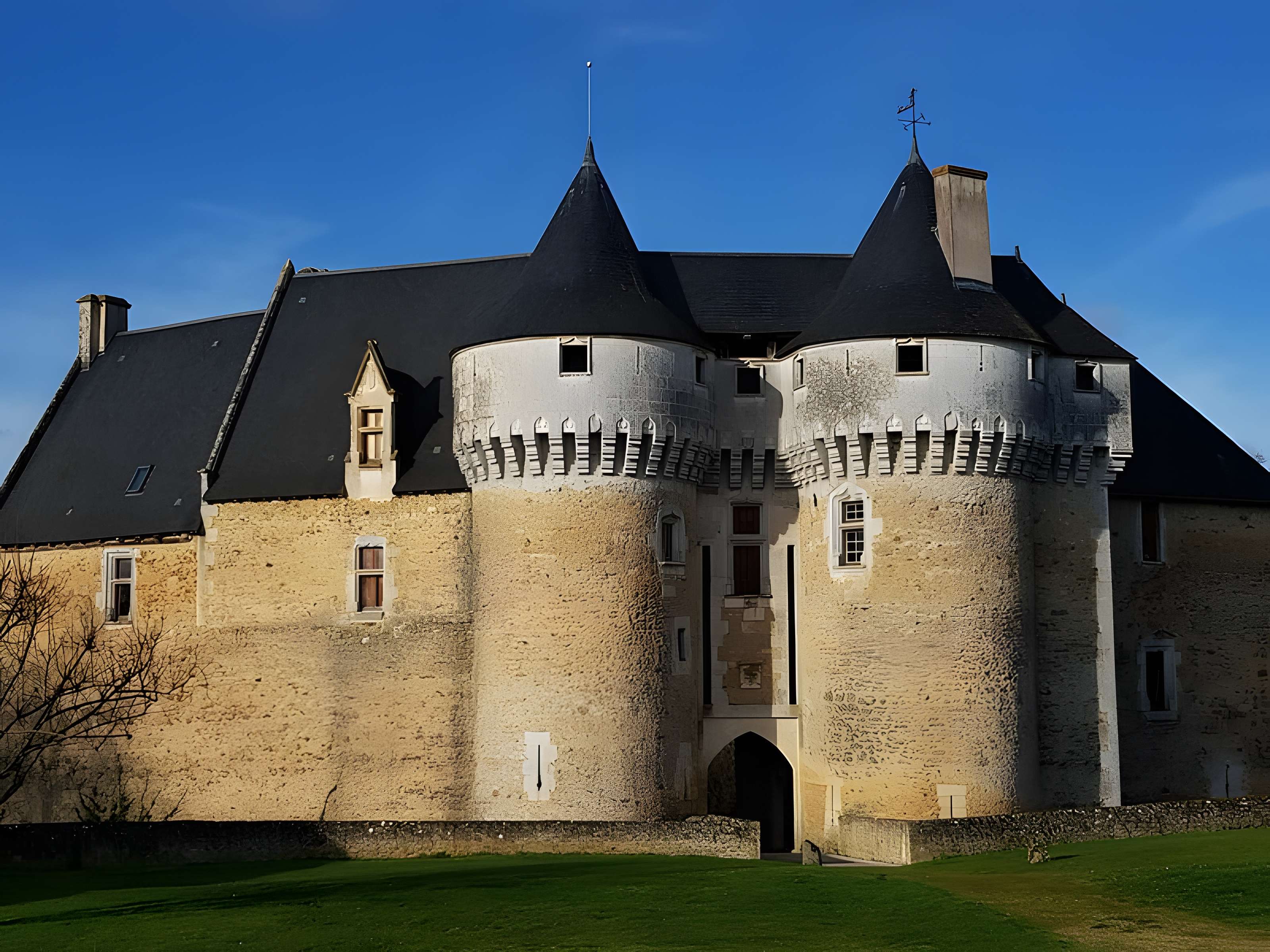 Château de Chambonneau