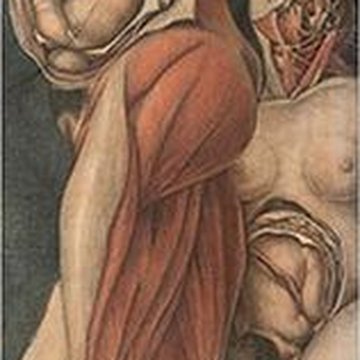 Académie de Médecine