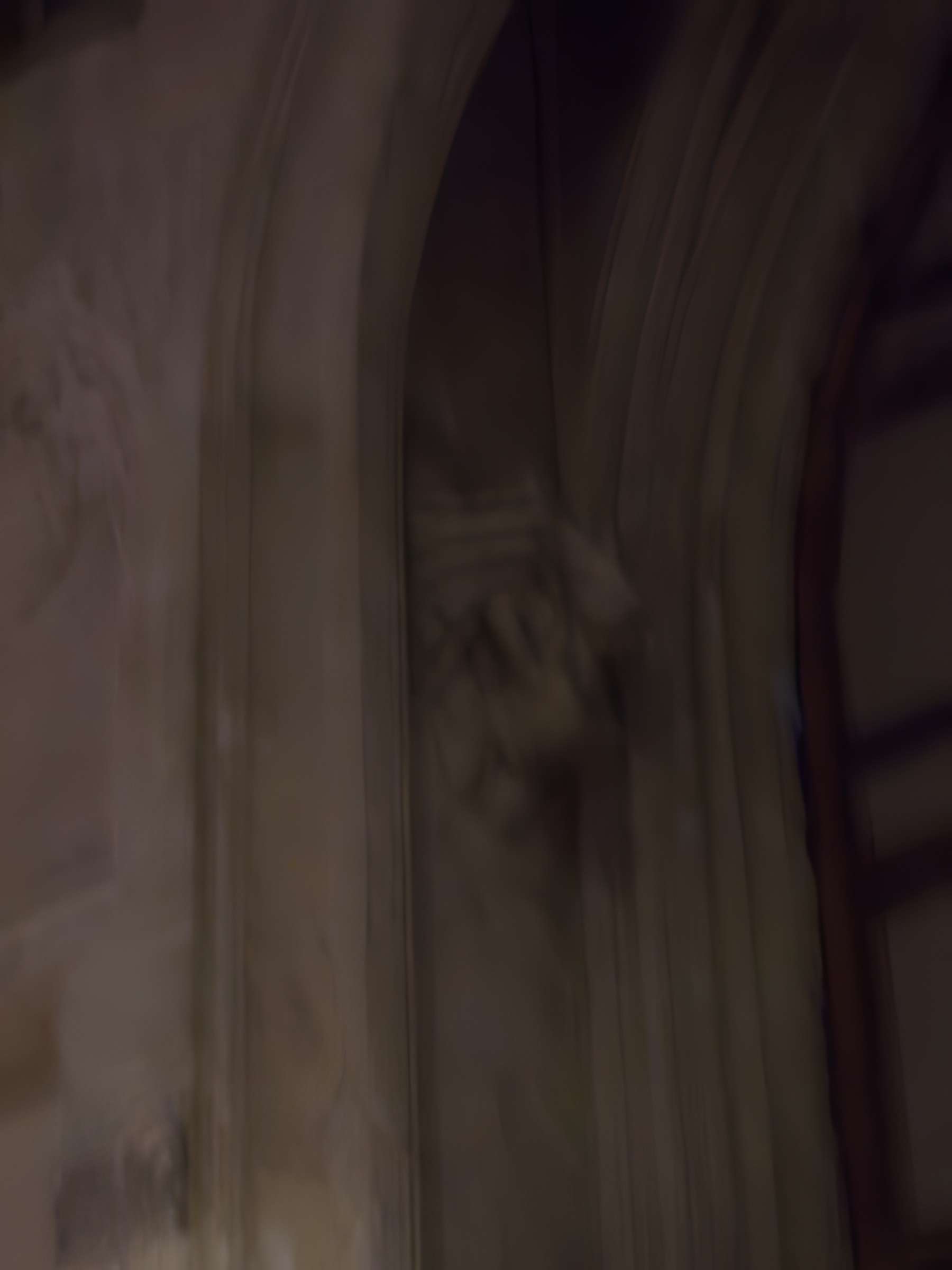 Ancien bouillon Chartier, actuellement restaurant Le Vagenende