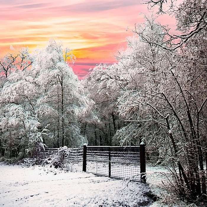 Photo de Château de Chambord