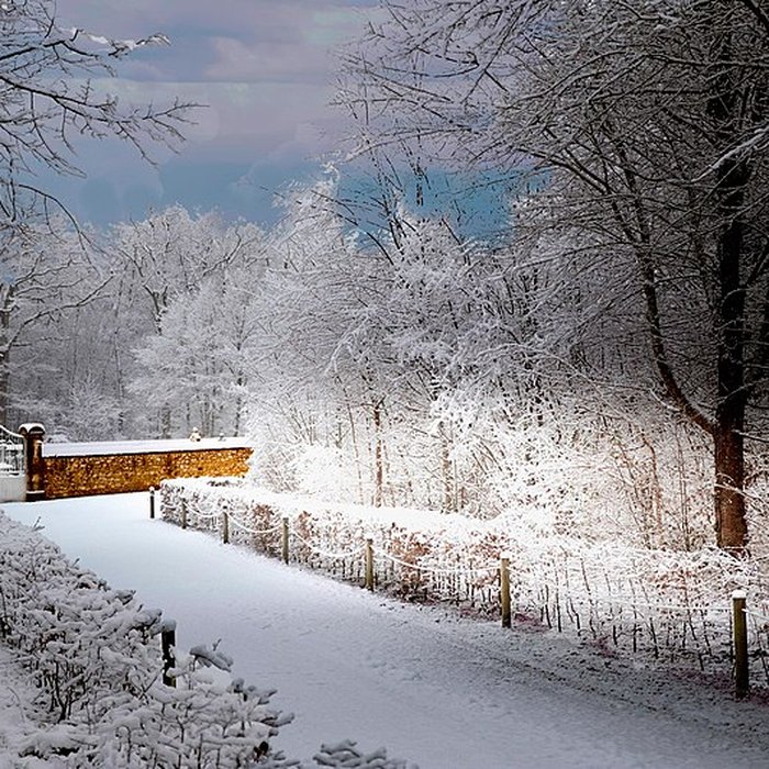 Photo de Château de Chambord