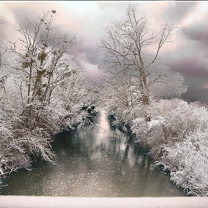 Photo de Château de Chambord