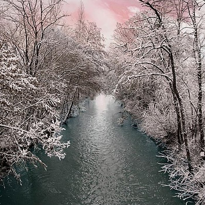 Photo de Château de Chambord